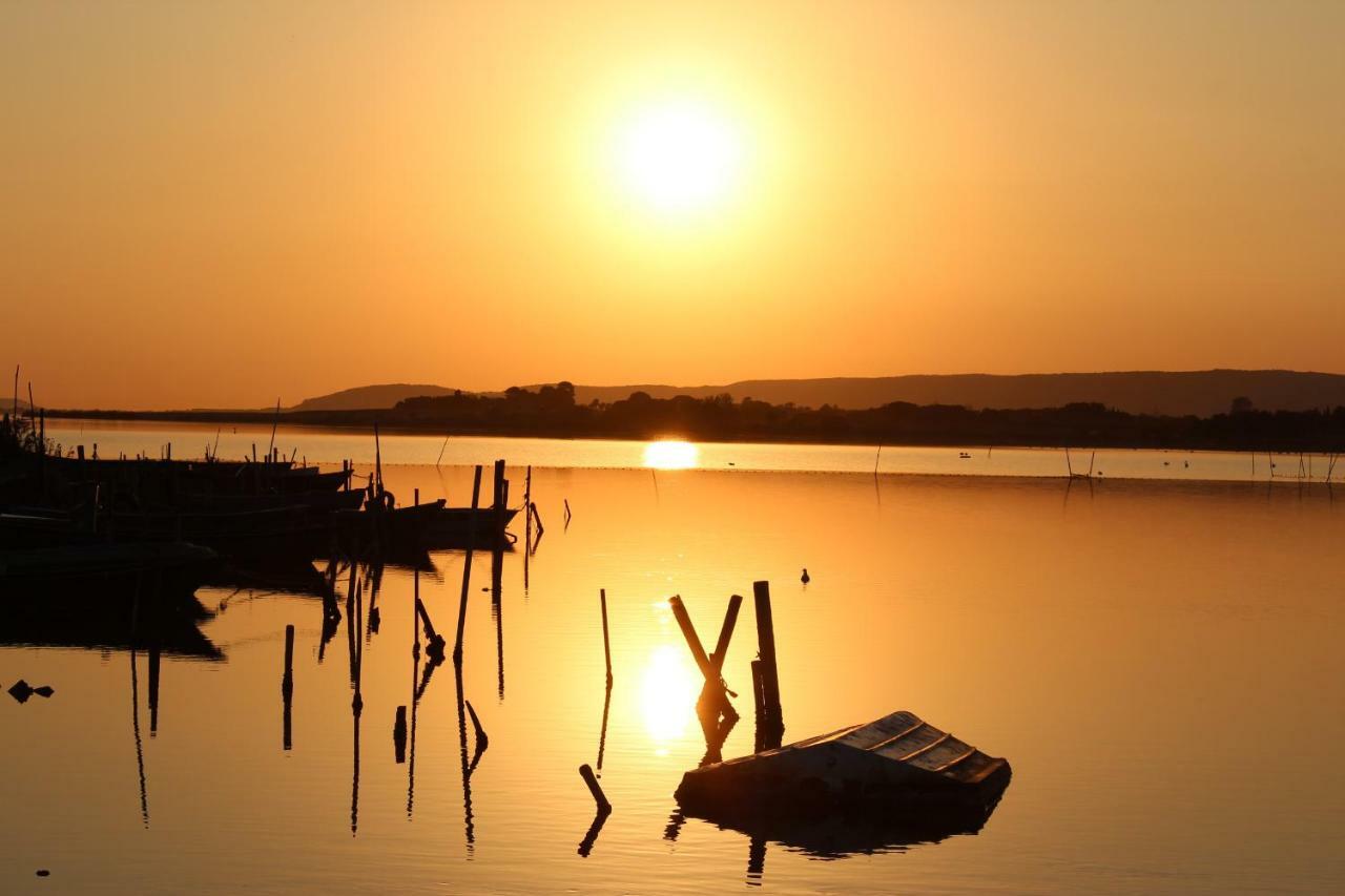Studio 237 Port Camargue, Piscine, Climatisation, 2 Personnes Le Grau-du-Roi Dış mekan fotoğraf