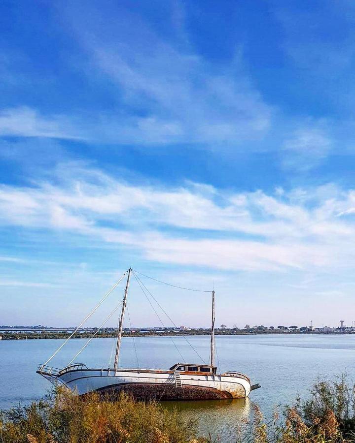 Studio 237 Port Camargue, Piscine, Climatisation, 2 Personnes Le Grau-du-Roi Dış mekan fotoğraf